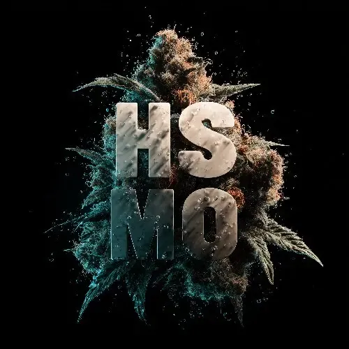 🍫 ГАШИШ🍫 - МО | 𝐇𝐒™