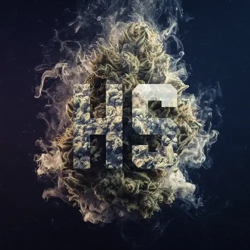 🍀ШИШКИ🍀 - Sour Jealousy | 𝐇𝐒™